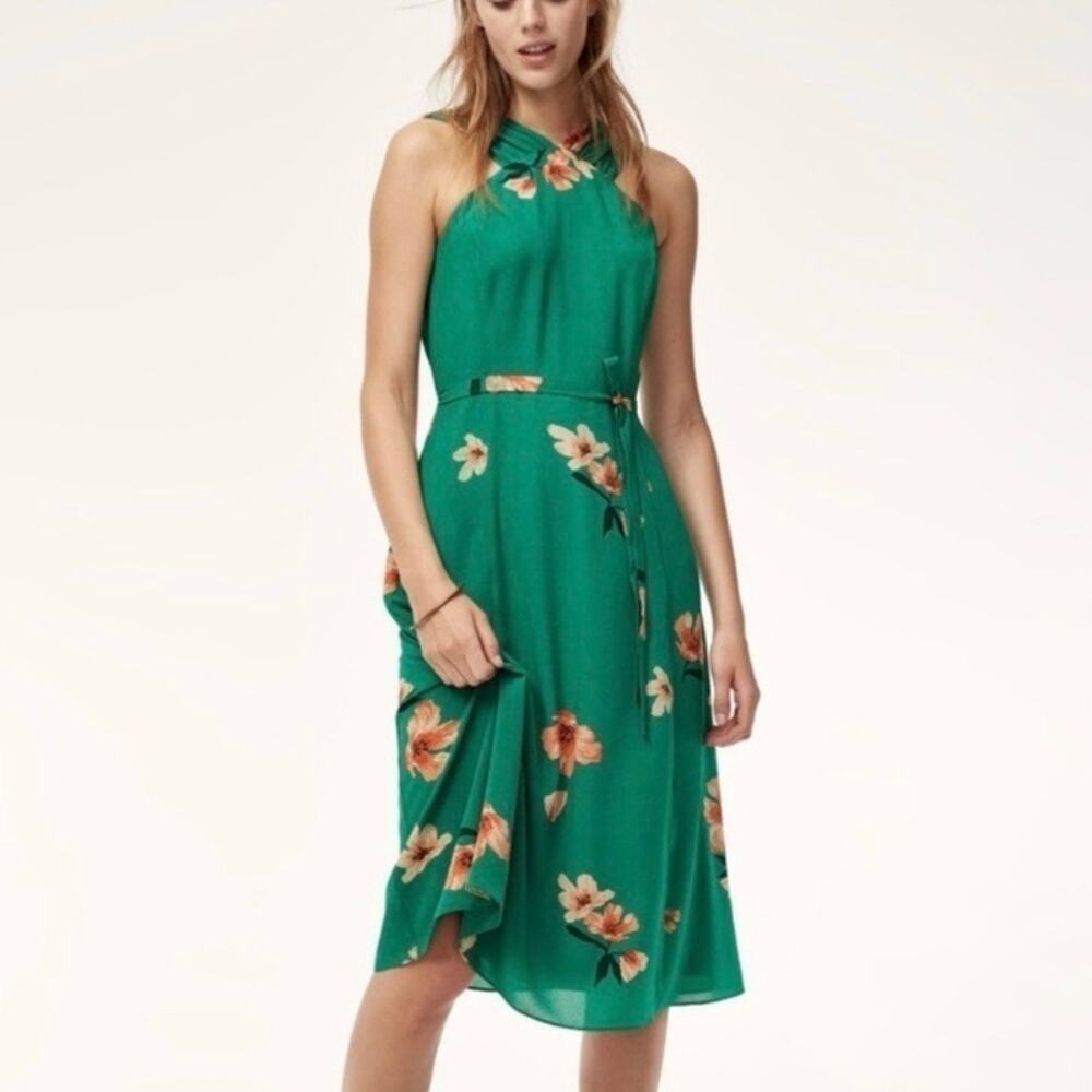 ARITZIA Wilfred The Aubert Dress Irish Hills Green Floral 6